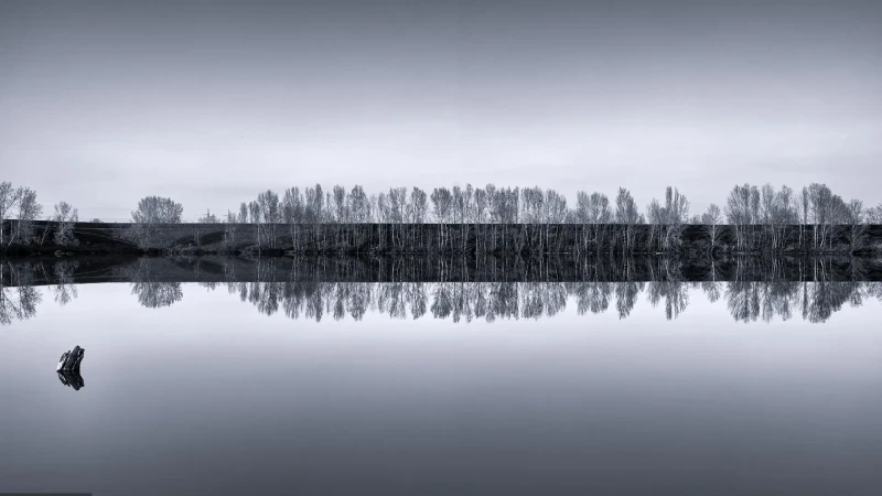 Paesaggio senza tempo in bianco e nero